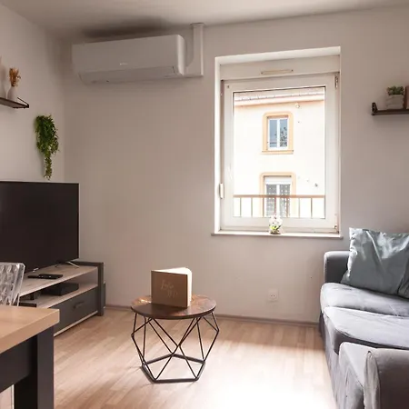 Apartment Cosy 3 Chambres, Proche De Nancy